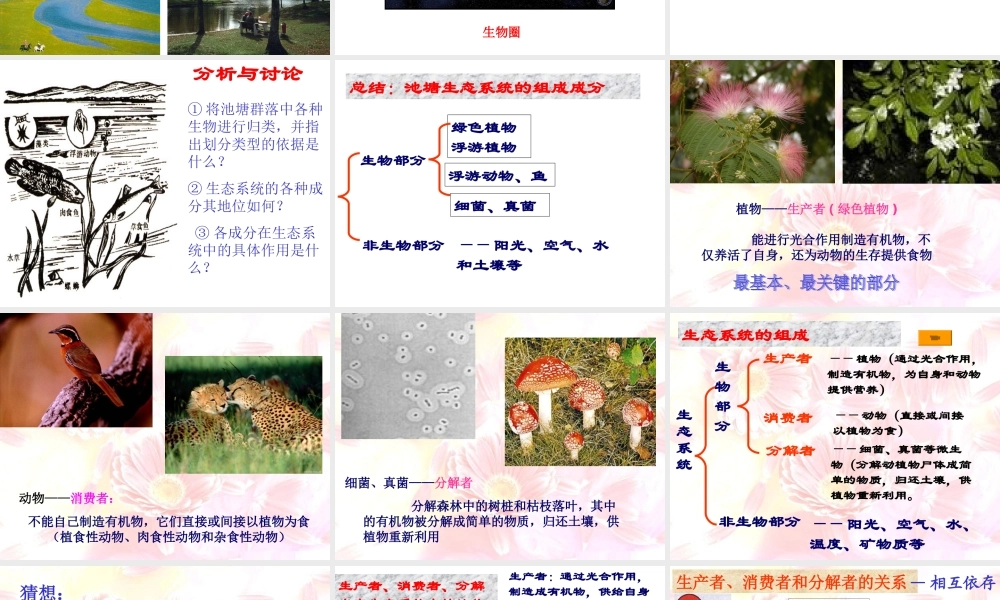 八年级生物下：第六单元第一章第一节生态系统的组成课件济南版 课件