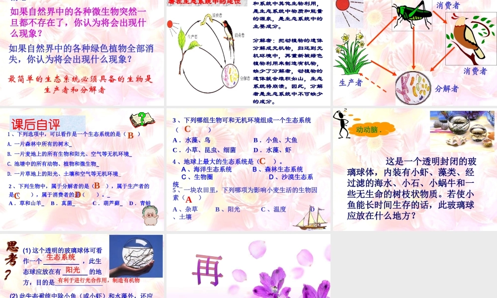 八年级生物下：第六单元第一章第一节生态系统的组成课件济南版 课件