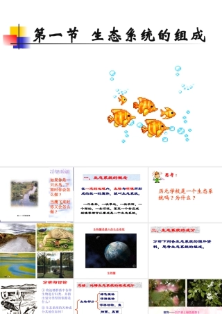 八年级生物下：第六单元第一章第一节生态系统的组成课件济南版 课件