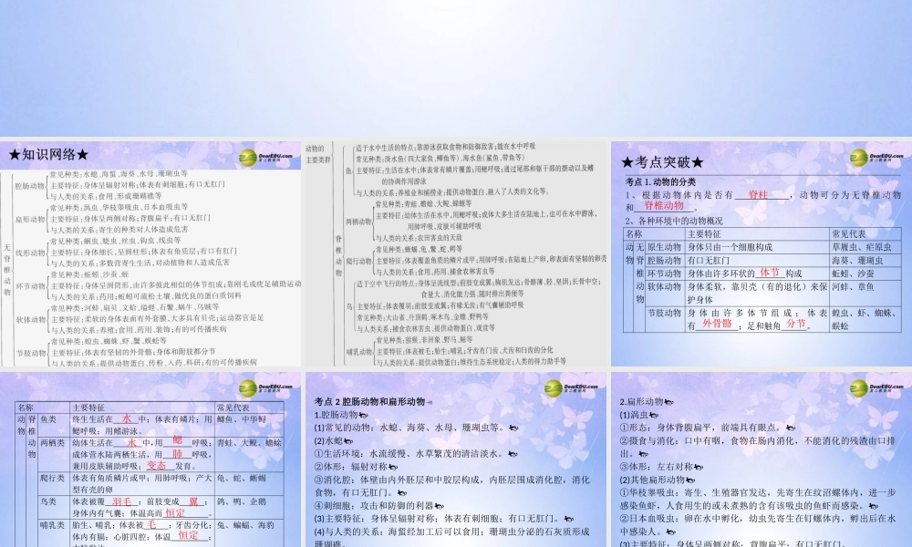 八年级生物上册 动物的主要类群课件 新人教版 课件