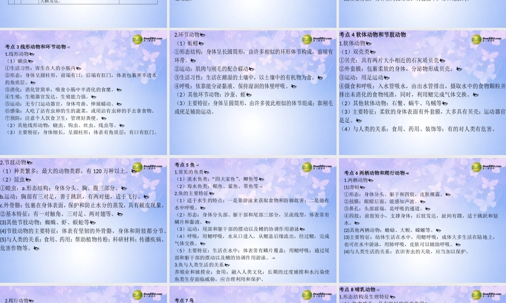 八年级生物上册 动物的主要类群课件 新人教版 课件