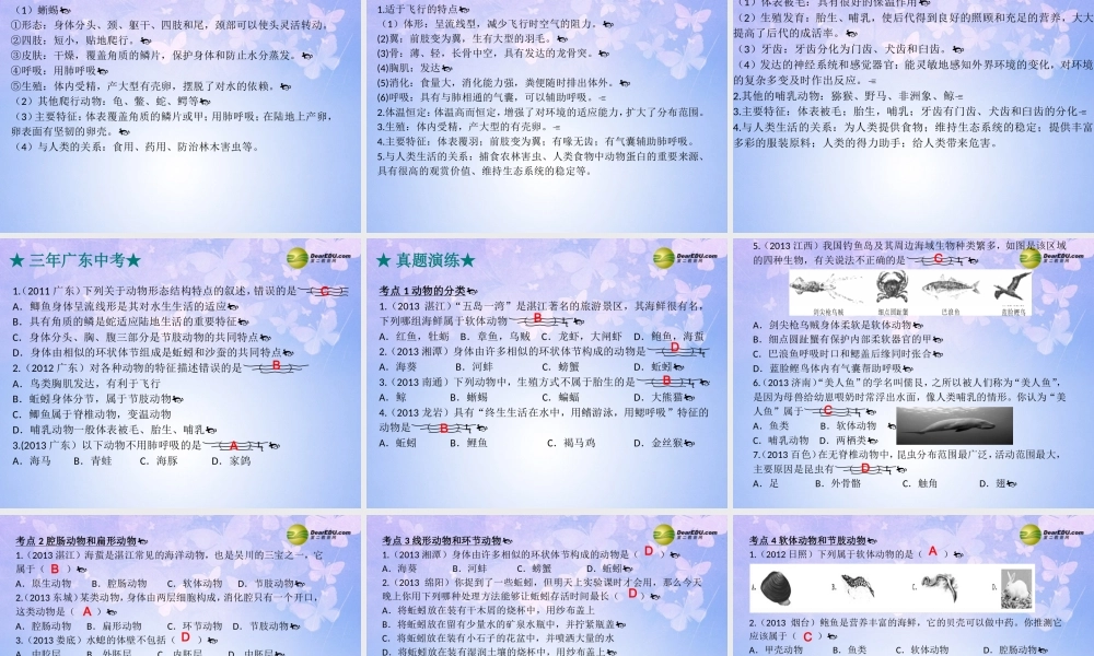 八年级生物上册 动物的主要类群课件 新人教版 课件