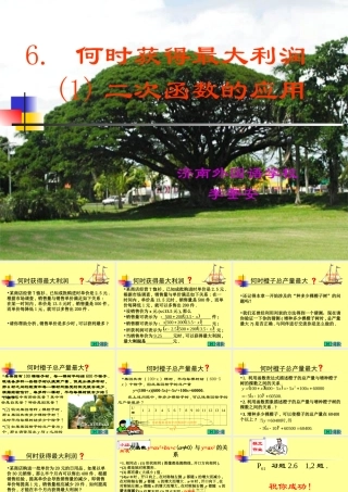 何时获得最大利润