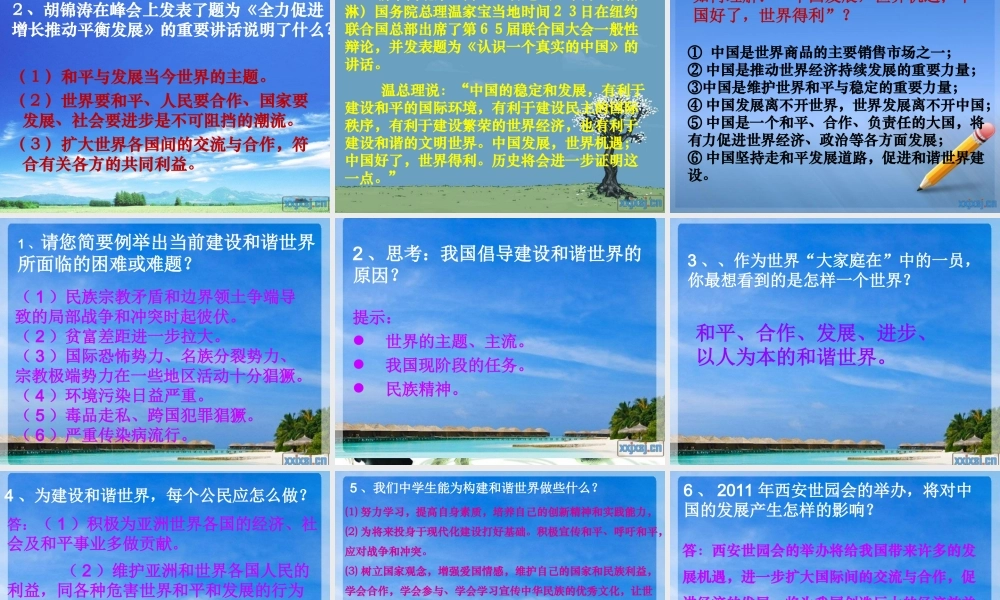 中考政治专题复习 国际舞台上的中国 课件