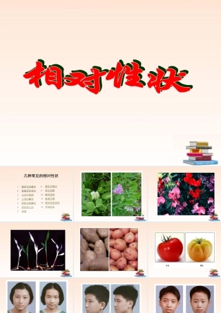 八年级生物下册 相对性状课件 人教新课标版 课件