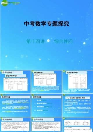 中考数学专题探究课件 第十四讲 综合性问题 课件