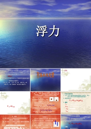 九年级物理浮力3课件
