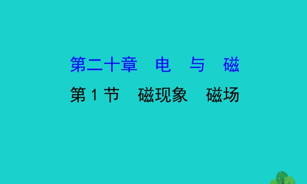 九年级物理全册 第二十章 第1节磁现象 磁场习题课件 (新版)新人教版 课件