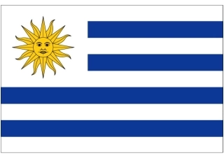 世界杯纸模：助威国旗(A3-乌拉圭)