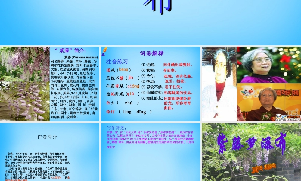 中学七年级语文上册(第16课 紫藤萝瀑布)课件 (新版)新人教版 课件