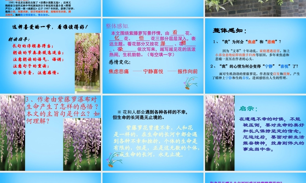 中学七年级语文上册(第16课 紫藤萝瀑布)课件 (新版)新人教版 课件