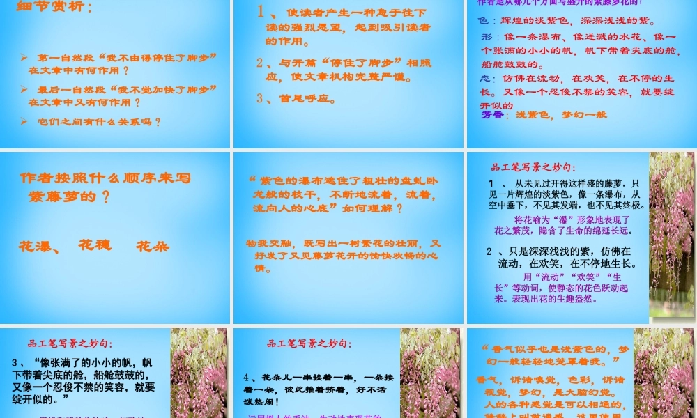 中学七年级语文上册(第16课 紫藤萝瀑布)课件 (新版)新人教版 课件