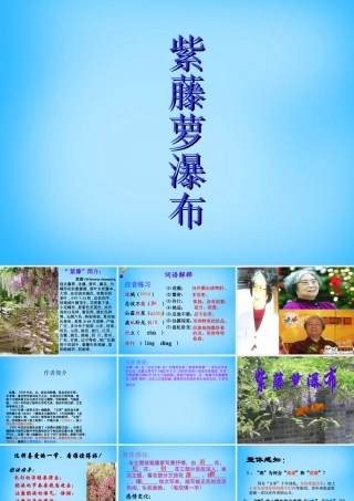 中学七年级语文上册(第16课 紫藤萝瀑布)课件 (新版)新人教版 课件