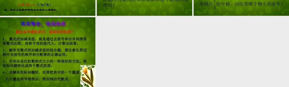 中学七年级数学上册 4.6 整式的加减课件2 (新版)浙教版 课件