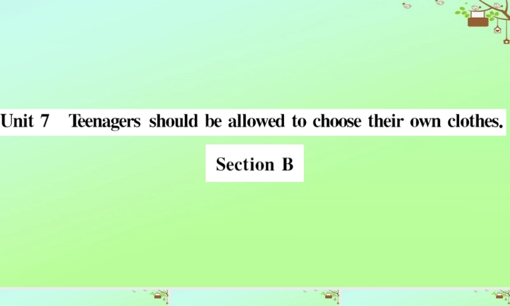 九年级英语全册 Unit 7 Teenagers should be allowed to choose their own clothes Section B作业课件 (新版)人教新目标版 课件