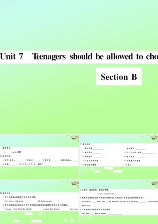 九年级英语全册 Unit 7 Teenagers should be allowed to choose their own clothes Section B作业课件 (新版)人教新目标版 课件