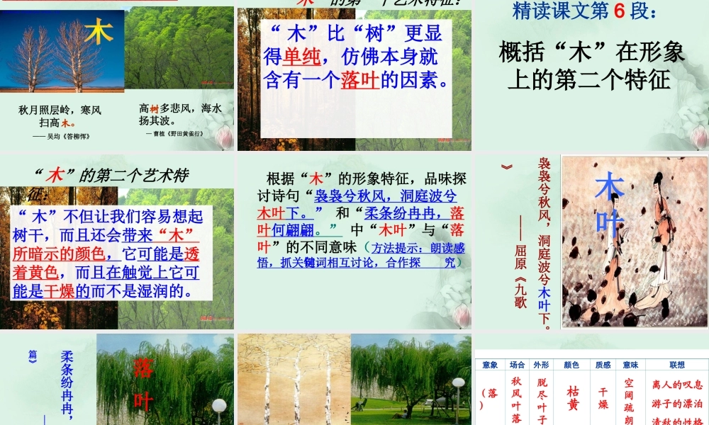 天津市武清区杨村四中高二语文(说木叶)课件 新人教版 课件