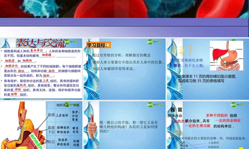 八年级生物 第一学期(试验本)第1章第一节 人体是怎样构成的(第二课时)课件 上海版 课件