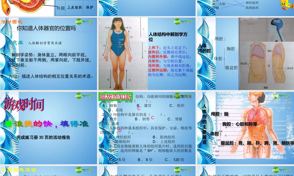 八年级生物 第一学期(试验本)第1章第一节 人体是怎样构成的(第二课时)课件 上海版 课件