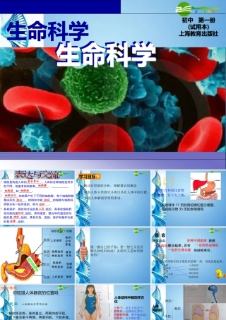 八年级生物 第一学期(试验本)第1章第一节 人体是怎样构成的(第二课时)课件 上海版 课件