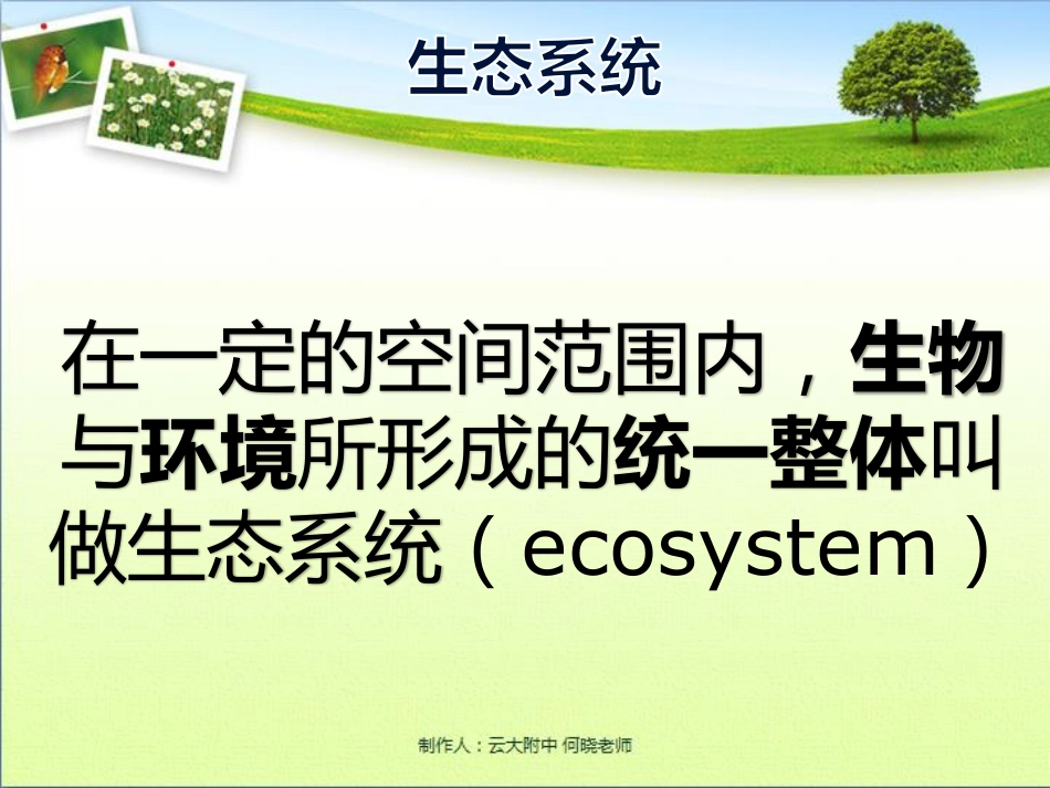 七年级生物上册 生物与环境组生态系统课件(pdf) 新人教版 课件_第3页