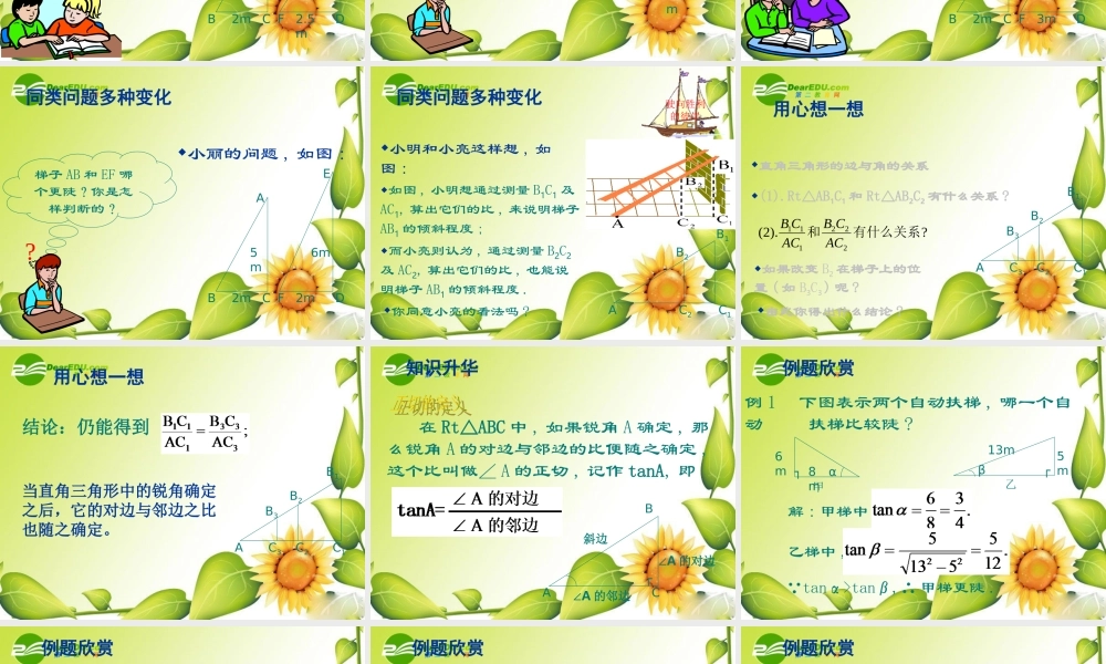 九年级数学下册：11从梯子的倾斜程度谈起(第1课时)课件(北师大版) 课件