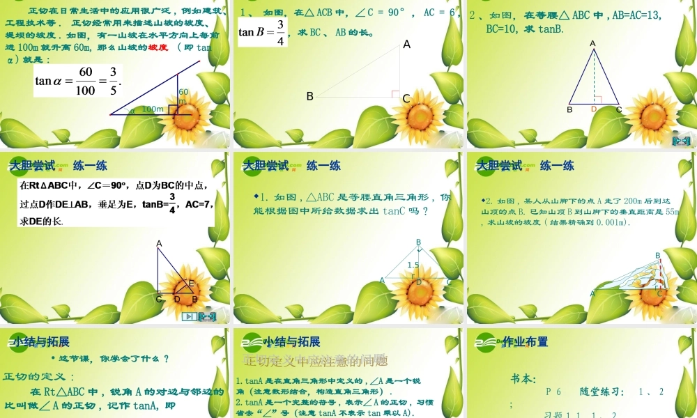 九年级数学下册：11从梯子的倾斜程度谈起(第1课时)课件(北师大版) 课件