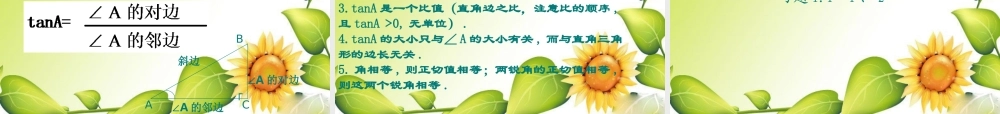 九年级数学下册：11从梯子的倾斜程度谈起(第1课时)课件(北师大版) 课件