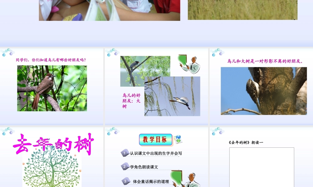 11去年的树郑学芳