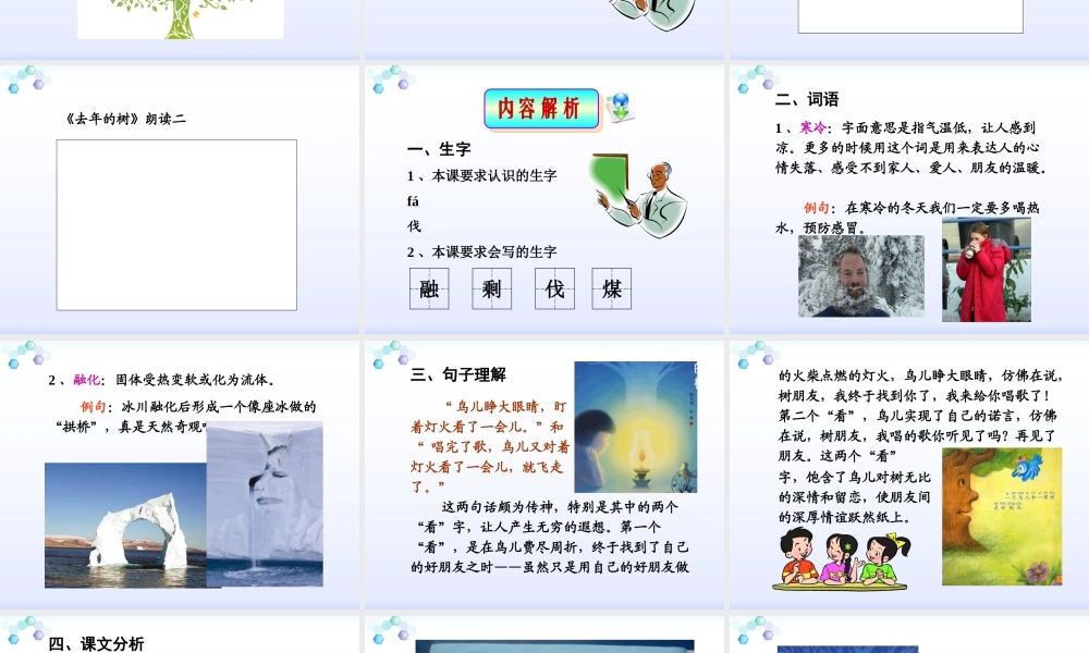 11去年的树郑学芳