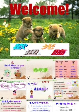 七年级英语上册 Unit8 When is your birthday课件 人教新目标板 课件