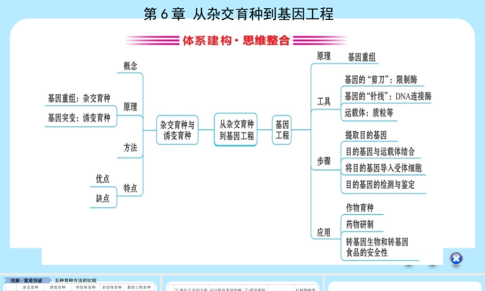 全章复习与测试