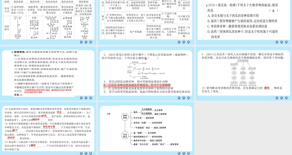 全章复习与测试