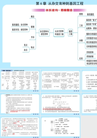 全章复习与测试