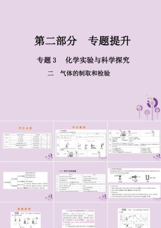 中考化学总复习 第二部分 专题提升 专题3 化学实验与科学探究 二 气体的制取和检验课件
