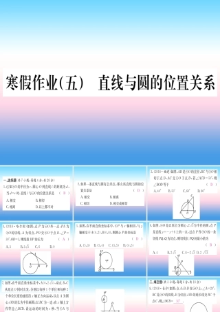 九年级数学下册 寒假作业(五)直线与圆的位置关系课堂导练课件(含中考真题)(新版)新人教版 课件