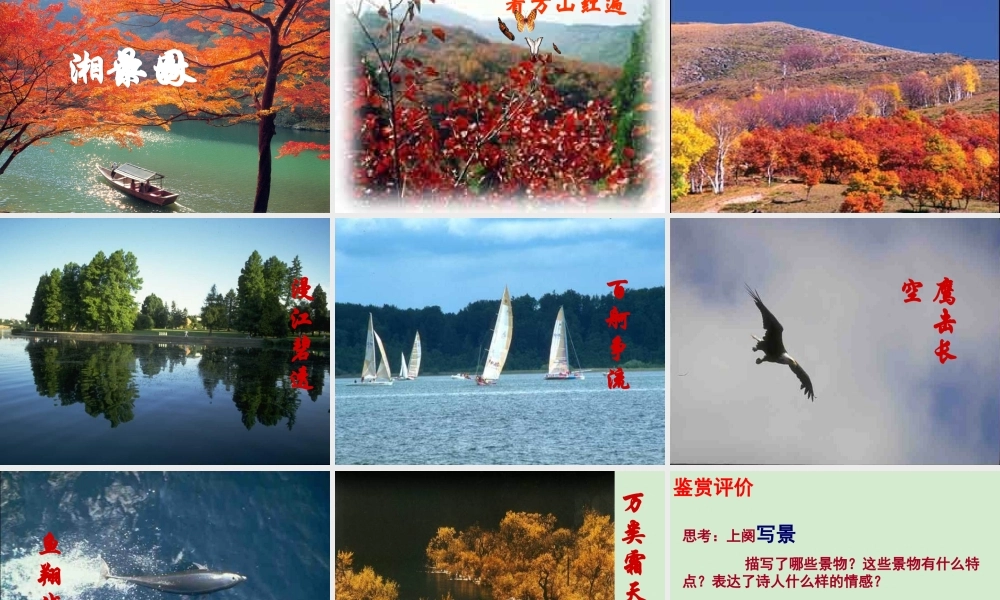 吉林省扶余一中高一语文(沁园春 长沙)课件2 课件