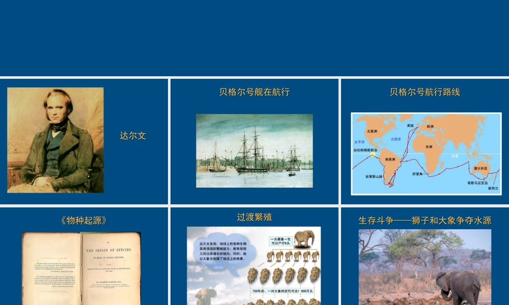 八年级生物下册 自然选择知识背景1课件 人教新课标版 课件