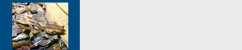 八年级生物下册 自然选择知识背景1课件 人教新课标版 课件