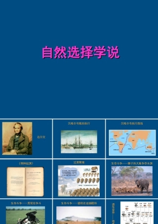 八年级生物下册 自然选择知识背景1课件 人教新课标版 课件