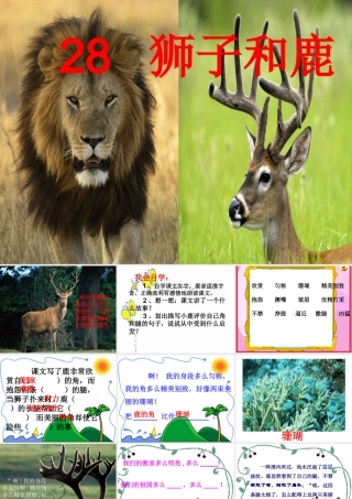 狮子和鹿课件