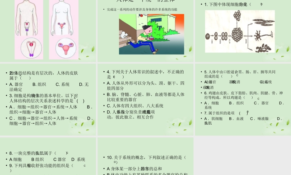 七年级生物 第2节 人体和动物课件 苏科版 课件