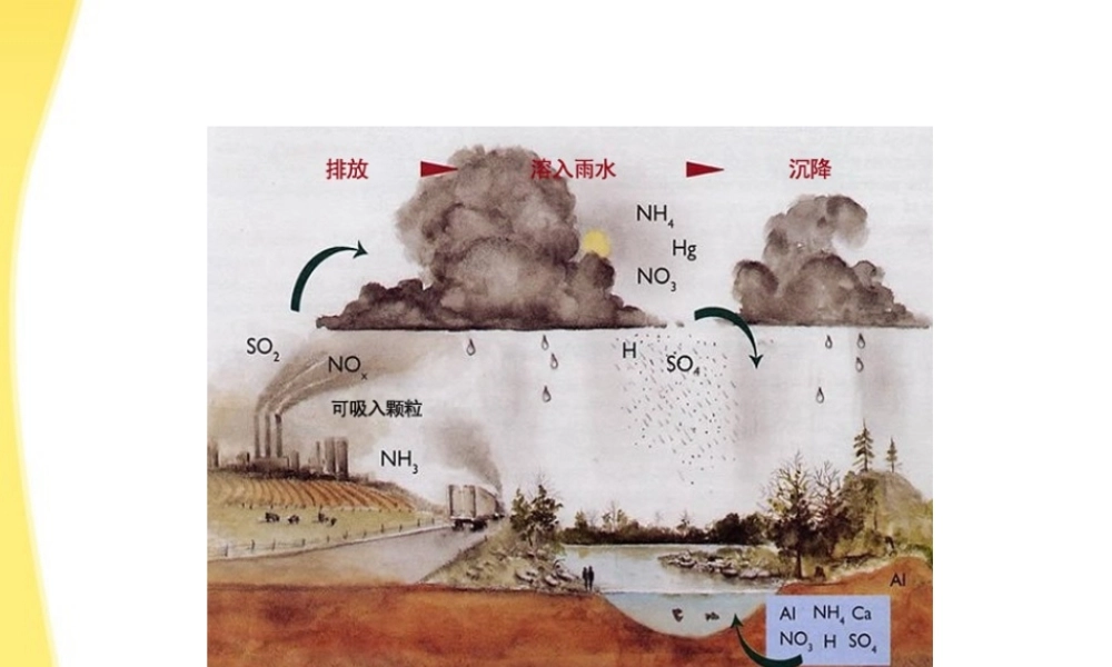 七年级生物下册 环境的污染1课件 人教新课标版 课件