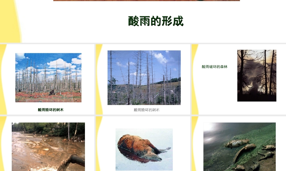 七年级生物下册 环境的污染1课件 人教新课标版 课件