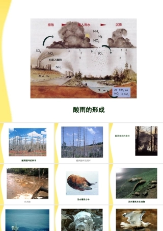 七年级生物下册 环境的污染1课件 人教新课标版 课件