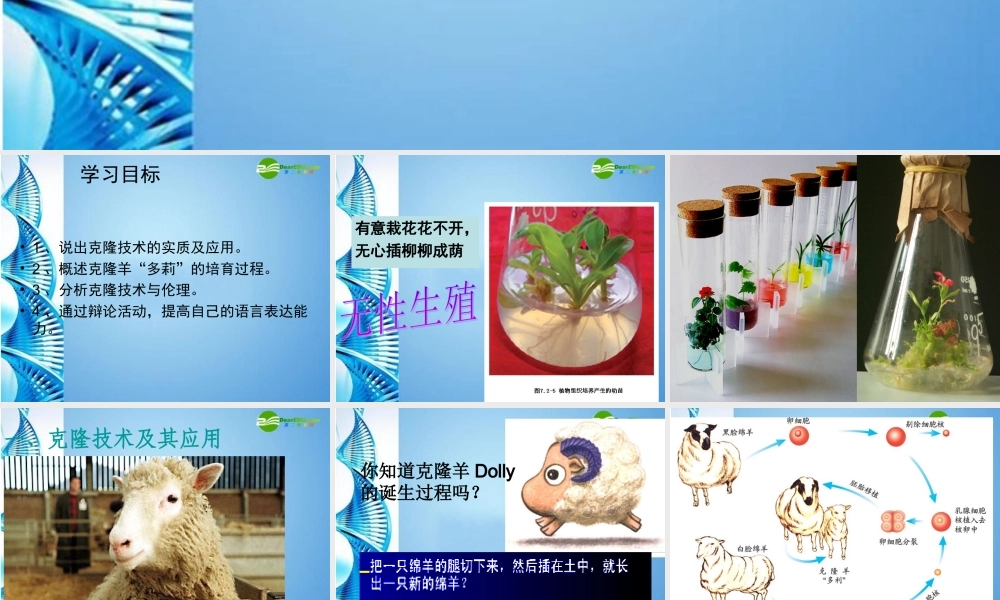 八年级生物下册 第七单元第二章第二节克隆技术课件 济南版 课件