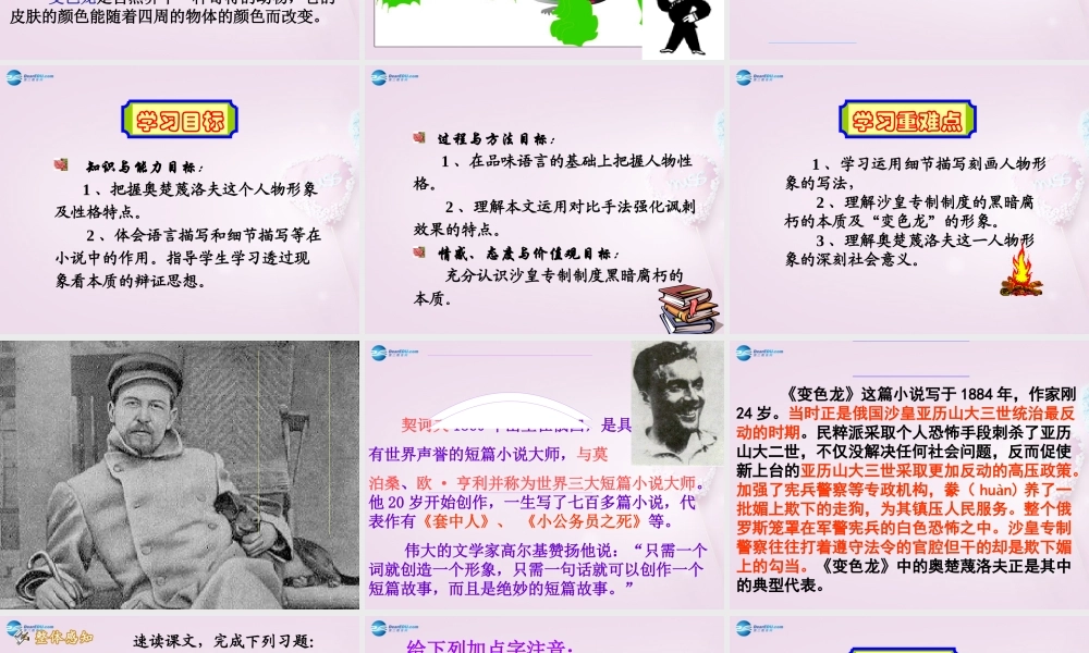 九年级语文下册 7(变色龙)课件3 新人教版 课件