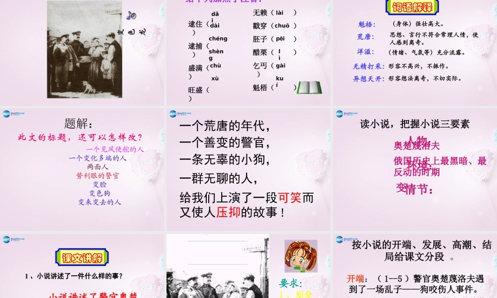 九年级语文下册 7(变色龙)课件3 新人教版 课件