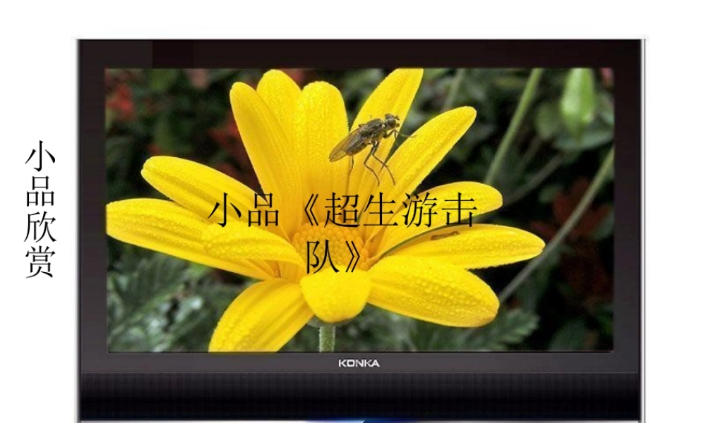 九年级政治(计划生育基本国策)课件 人教新课标版 课件