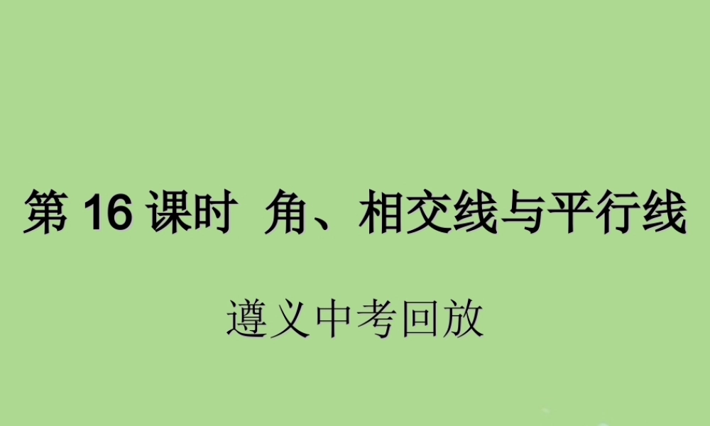 中考数学复习 第16课时 角、相交线与平行线 2 遵义中考回放(课后作业)课件
